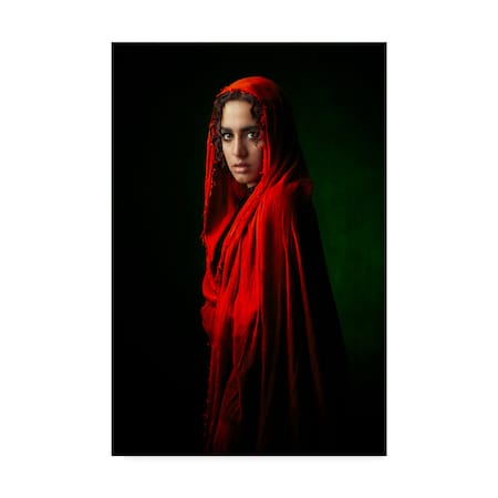 Mehdi Mokhtari 'Red Shawl Portrait' Canvas Art,16x24